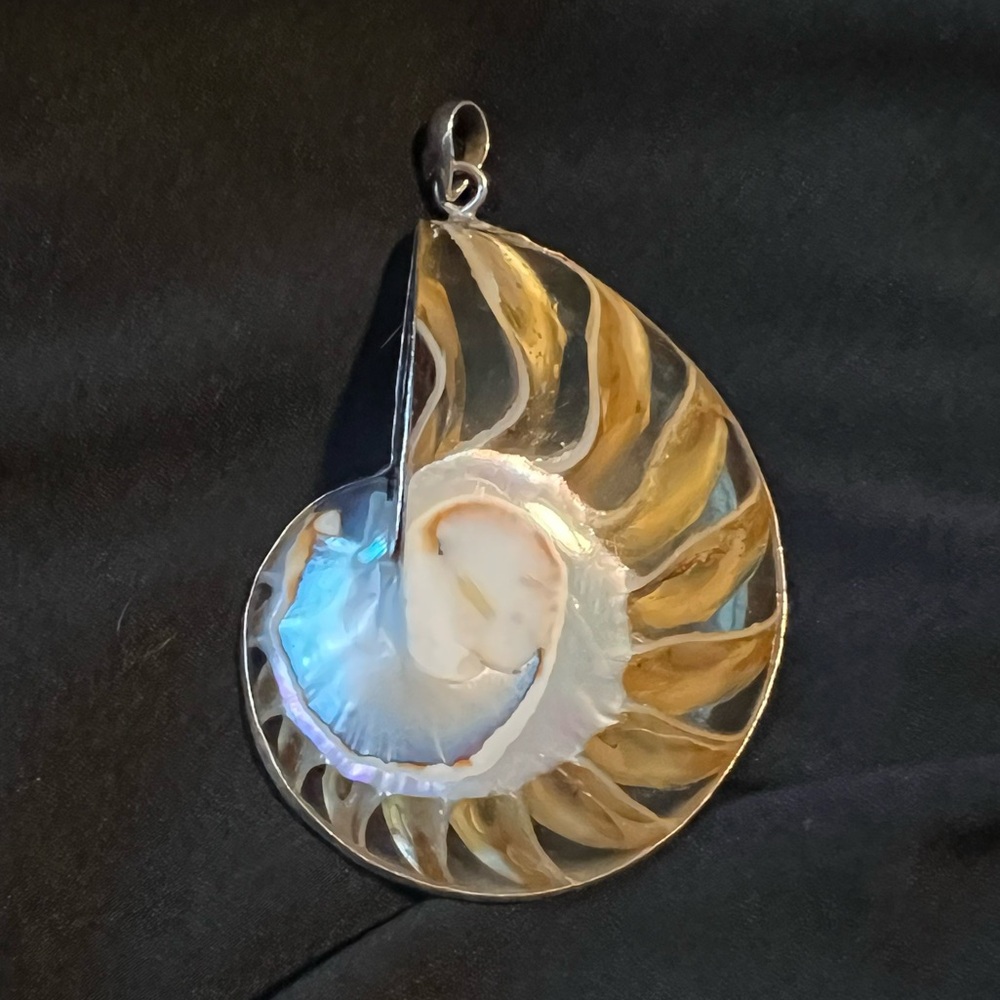 Nautilus Shell Pendant - Picture 2 of 6